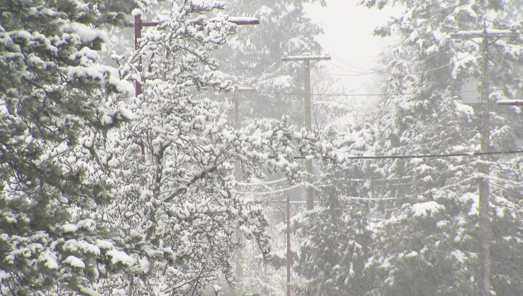 The University of British Columbia is cancelling all in-person classes Wednesday as a snow storm is set to hit the Lower Mainland.