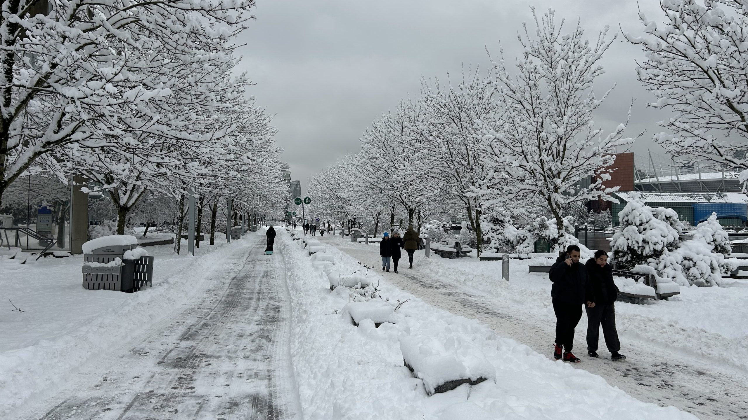 温哥华大都会地区和弗雷泽谷每日降雪纪录