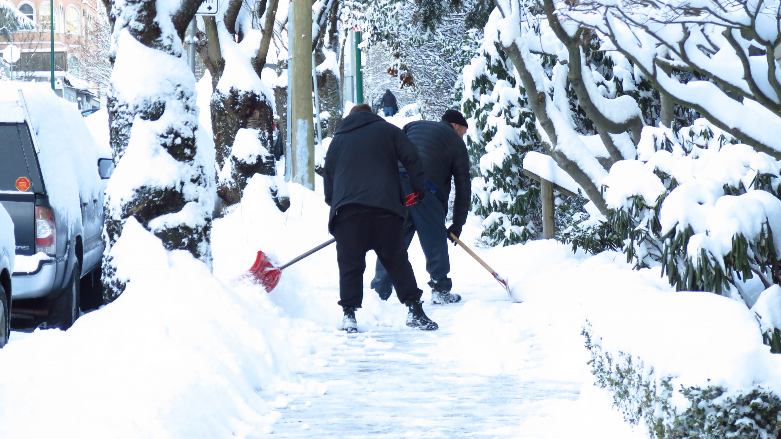 温哥华雪天使：暴风雪过后帮助扫雪