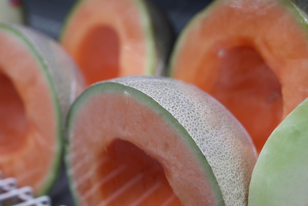 Ontario woman files proposed class-action lawsuit over salmonella-tainted cantaloupes