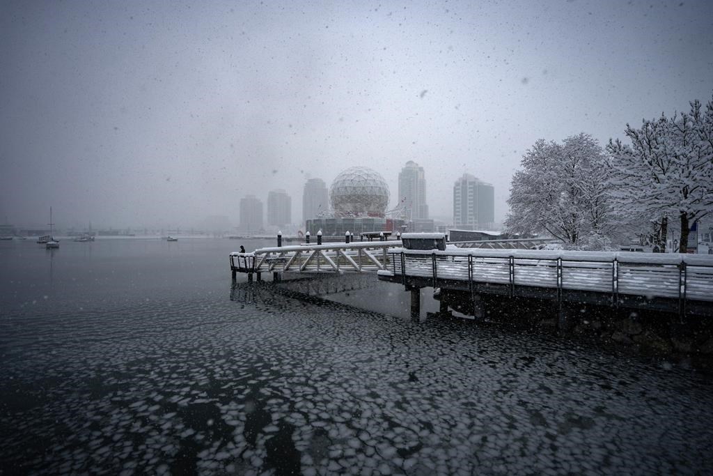 A person looks out to a semi frozen False Creek during a snowstorm in Vancouver Wednesday, Jan. 17, 2024.