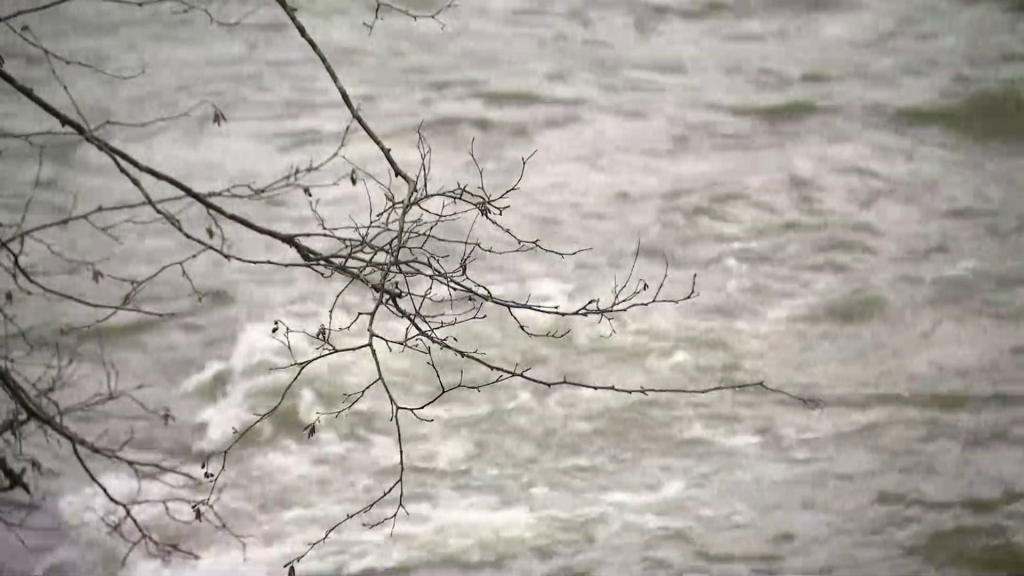 B.C.'s River Forecast Centre has issued a flood warning for the Sumas River as a series of storms drenches the province's South Coast.