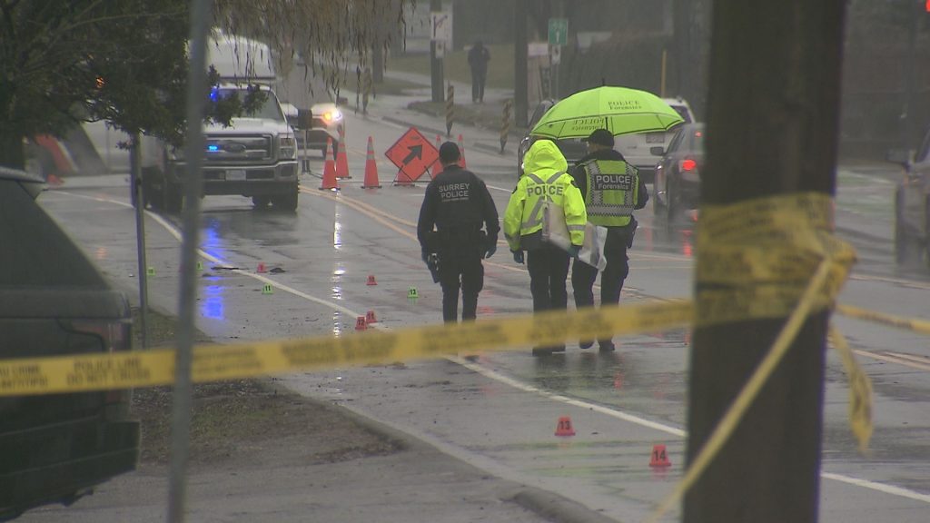 Police investigate a fatal hit-and-run in Surrey