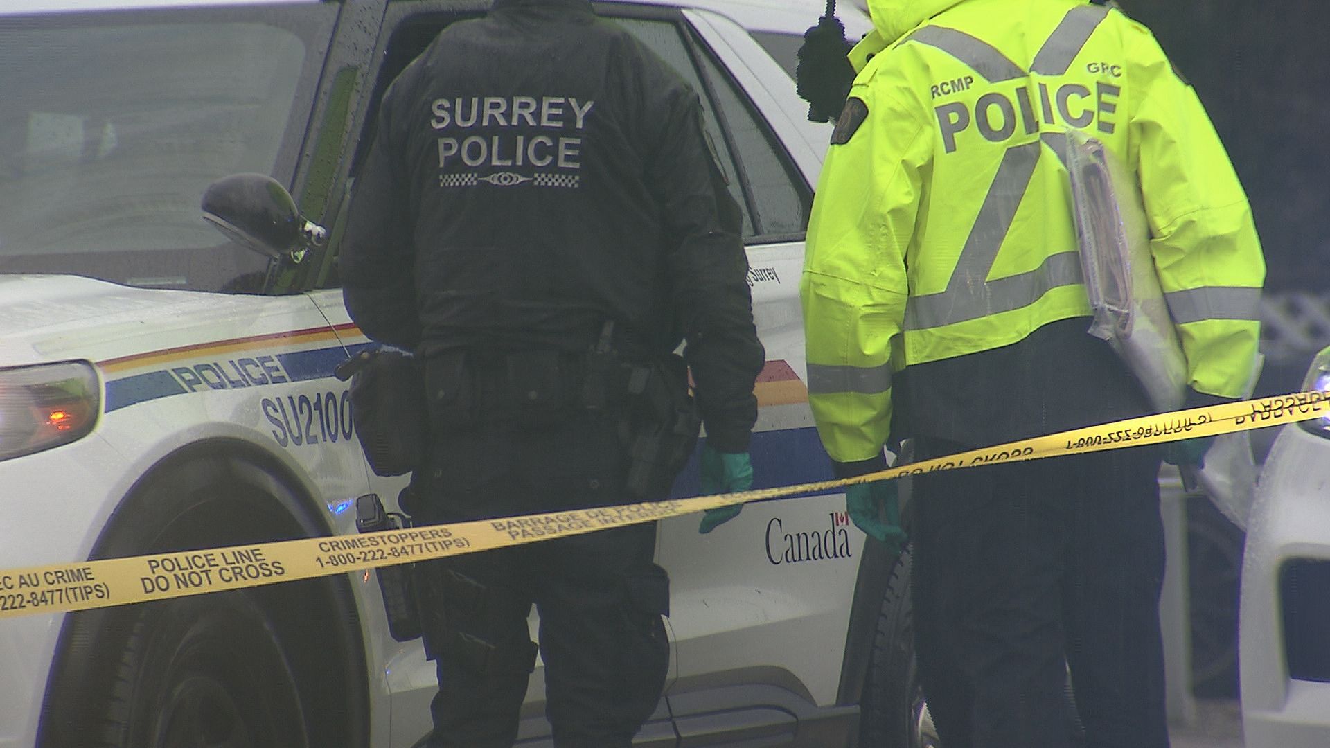 Three charged after fatal Surrey hit and run | CityNews Vancouver