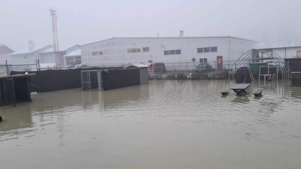 The Pemberton Animal Wellbeing Society (PAWS) facility was flooded on Tuesday, Jan. 30, 2024. The organization says its animals, including five puppies, had to be rescued