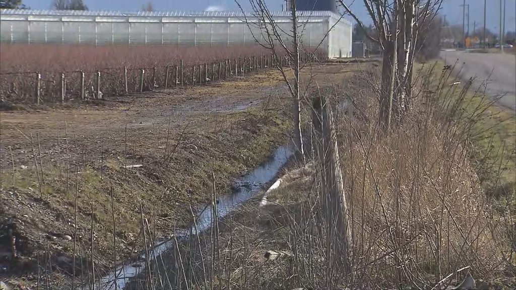 Chilliwack Central Road between Prest Road and Broadway