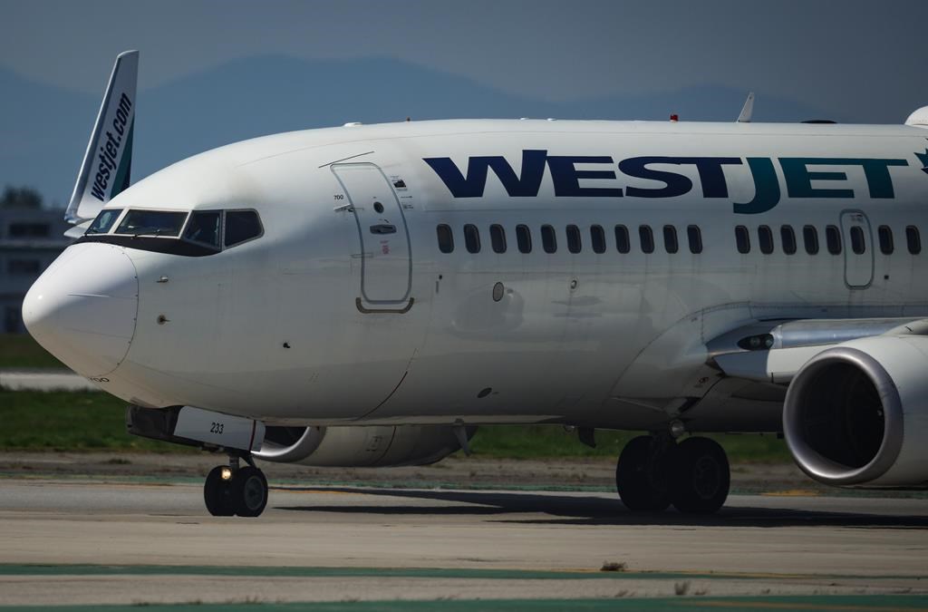 乘客试图在温哥华飞往多伦多的航班上打开舱门
