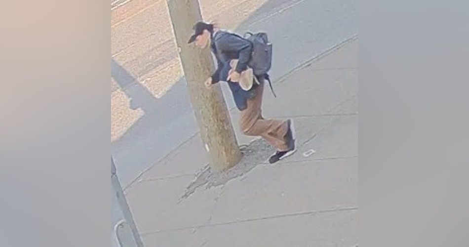 Police in Langley are seeking help to identify a suspect in a series of sexual assaults. (Photo provided by Langley RCMP)