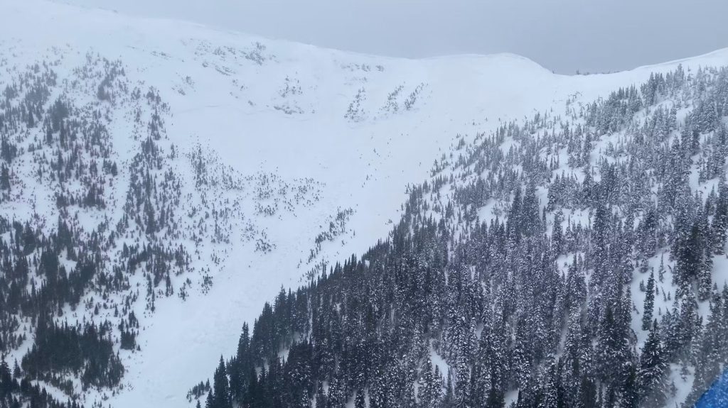 Image of the aftermath of an avalanche near Fernie on Feb. 24, 2024