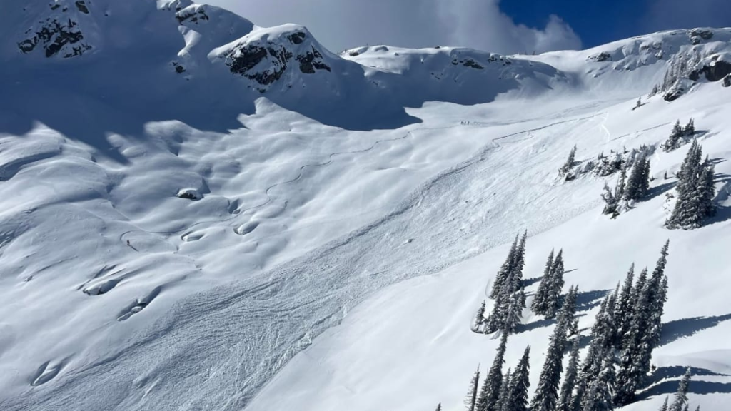 Avalanche risk 'high' in B.C. South Coast after new snow