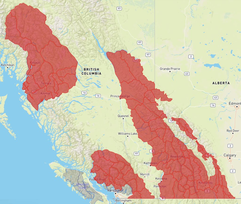A map of B.C. showing avalanche warning areas for the period of Feb. 29, 2024, to March 4, 2024