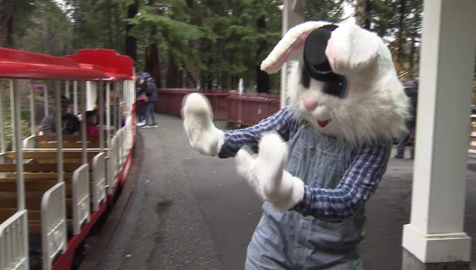 Stanley Park Train to hop into service for Easter Long Weekend