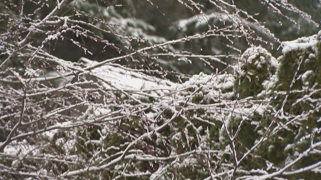 Snowy conditions are seen in Port Moody