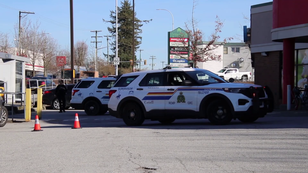 Police in Surrey on scene of a stabbing.