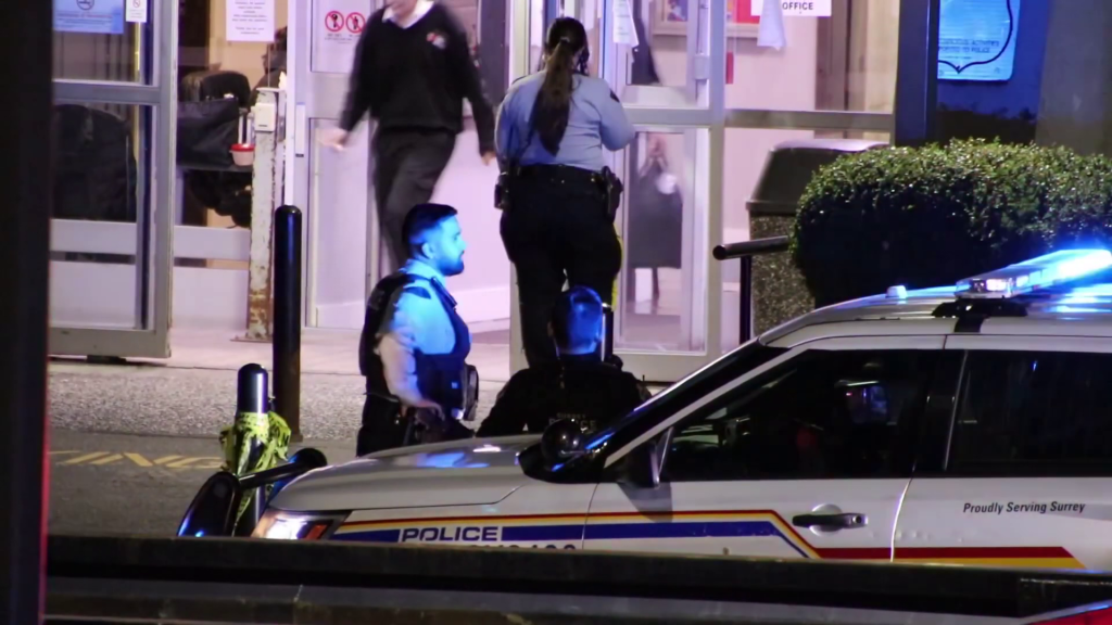 Police on scene of a stabbing in Surrey
