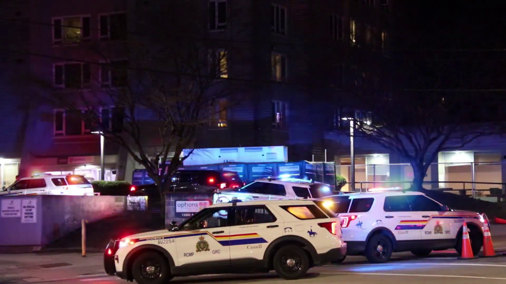 Police on scene of a stabbing in Surrey