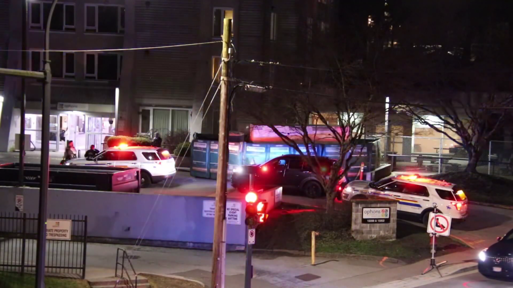 Police on scene of a stabbing in Surrey