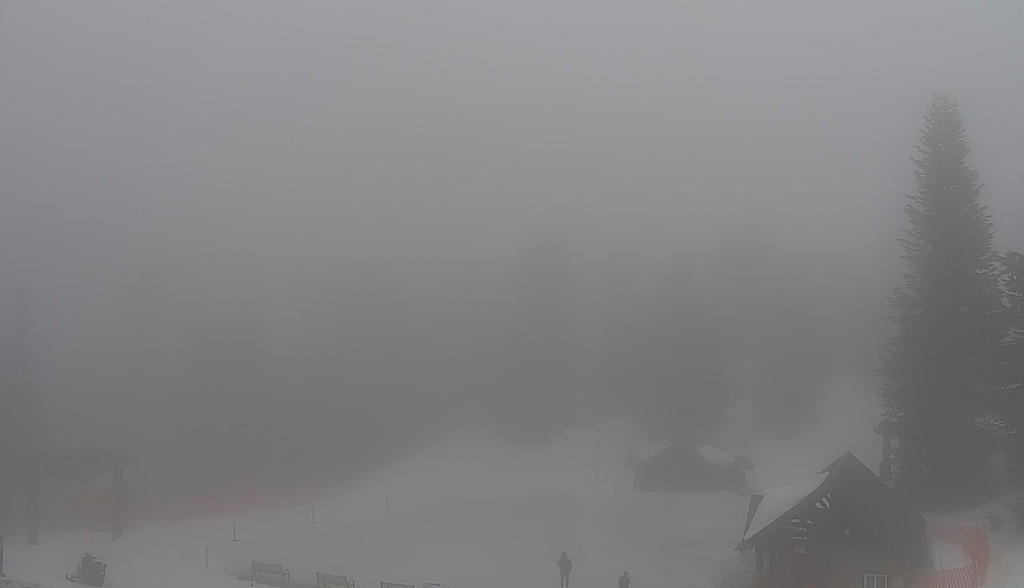 Foggy conditions are seen from the Chalet Cam at Grouse Mountain on Tuesday, April 2, 2024.