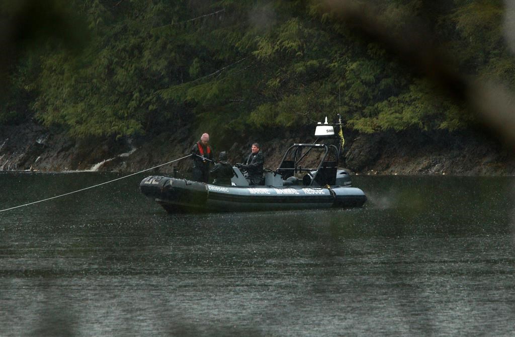 Fisheries Department Pacific region marine mammal co-ordinator Paul Cottrell operates a zodiac with other experts as they conduct work in an area where an orphaned two-year-old female orca calf continues to live in a lagoon near Zeballos, B.C., on Thursday, April 11, 2024
