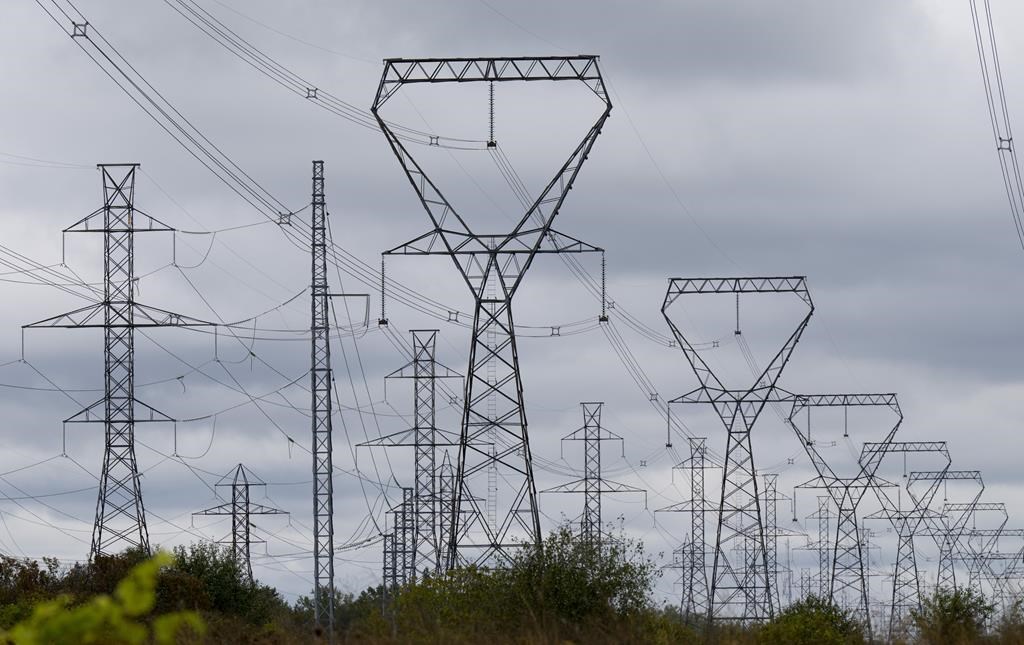 Electricity imports from U.S. topped exports in February amid drought: StatCan