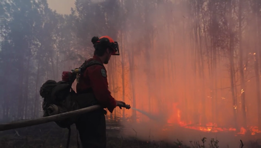 a firefighter outdoors trying to get a blaze under control with a hose.