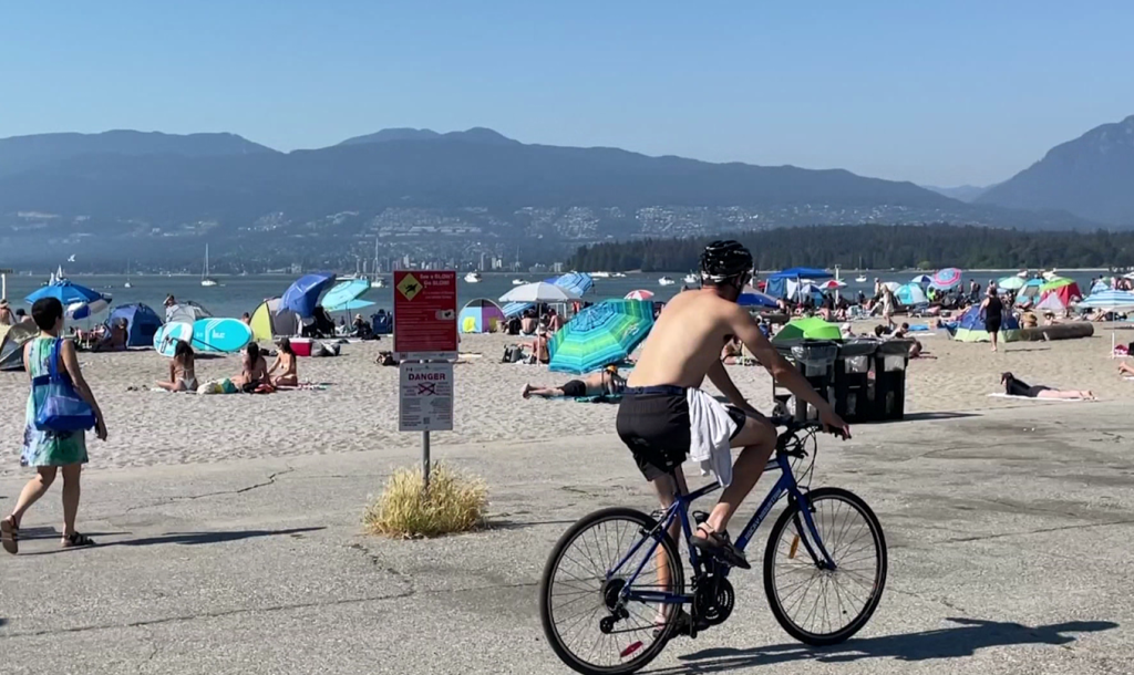 Vancouver Park Board requests police funding for summer alcohol on beaches pilot