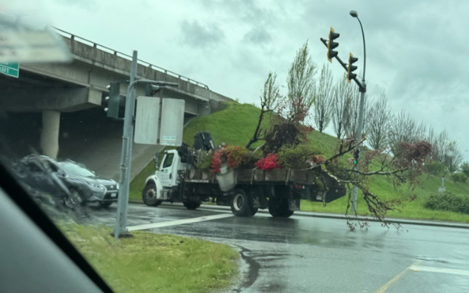 A commercial truck driver transporting what has been described by the Richmond RCMP as an 'unsecured load' was pulled over and fined in April 2024. Images show trees on the flatdeck of the truck, with some branches dragging behind the vehicle.