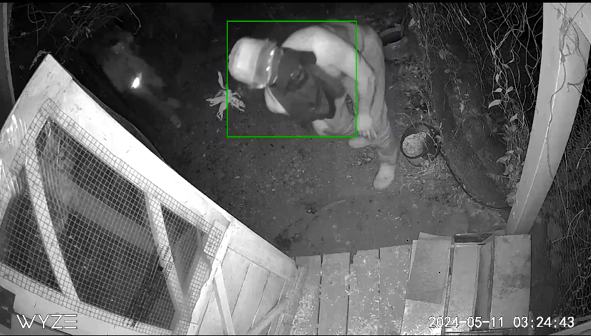 CCTV footage stills of suspects entering a chicken coop in North Vancouver on May 11, 2024. The RCMP says a chicken named snowflake was taken.