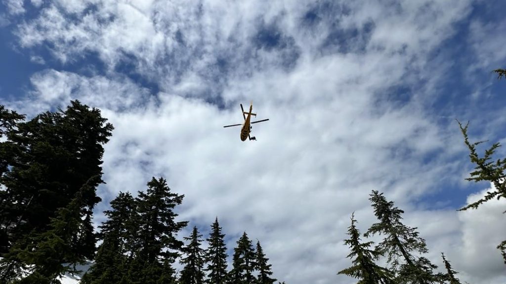 a helicopter flies out of the forest