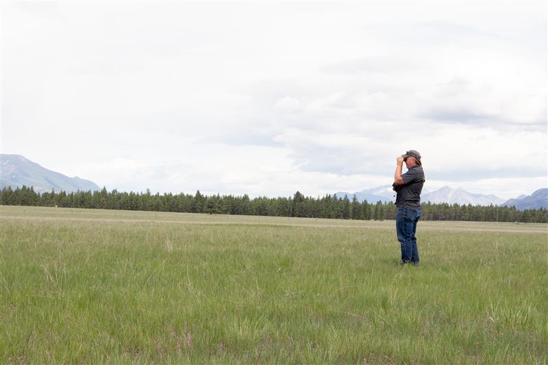 A rare B.C. grassland in the Rocky Mountain Trench, near Cranbrook, that is home to at risk and endangered animals will now be under protection.