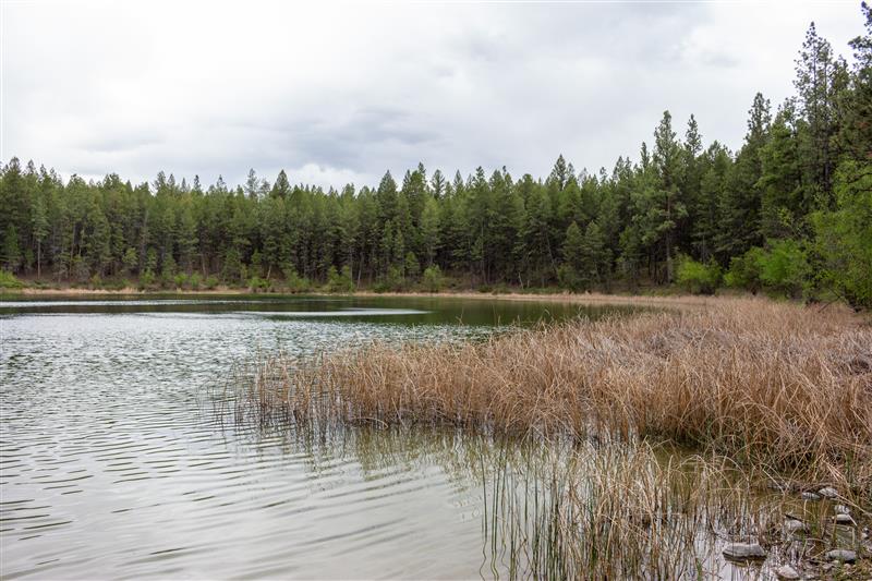 Richard Klafki with the conservancy says the now protected land helps ensure the survival of at risk and endangered animals.