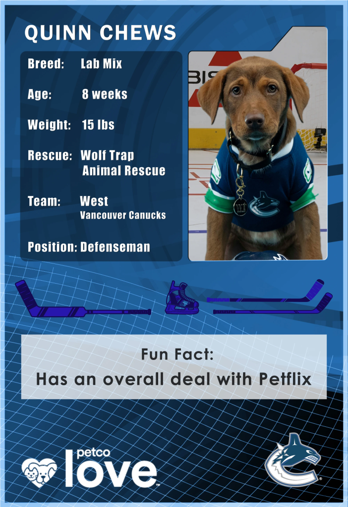 Quinn Chews will be representing the Canucks at the Stanley Pup competition. (Courtesy NHL)