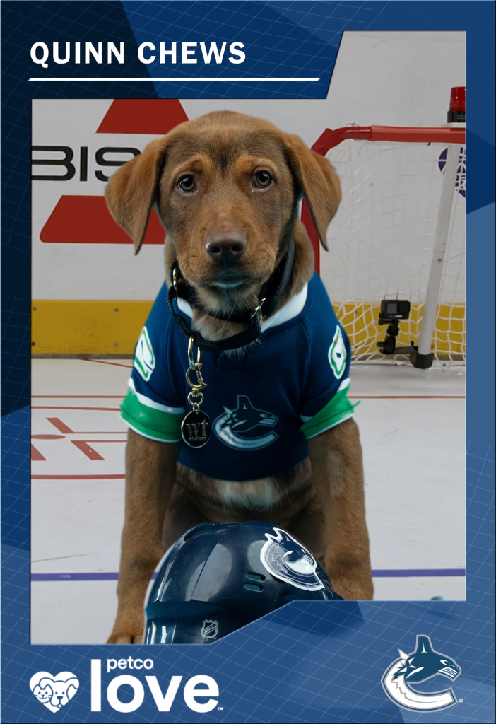 Quinn Chews will be representing the Canucks at the Stanley Pup competition. (Courtesy NHL)