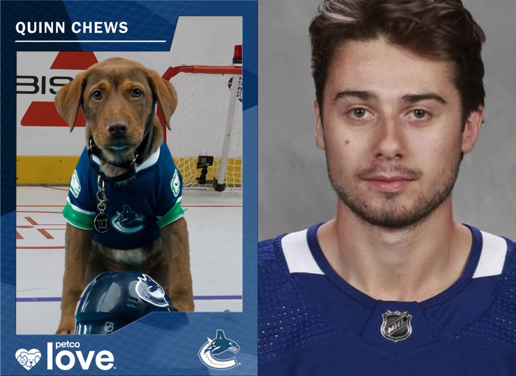 'Quinn Chews' to represent Canucks in 'Stanley Pup' competition