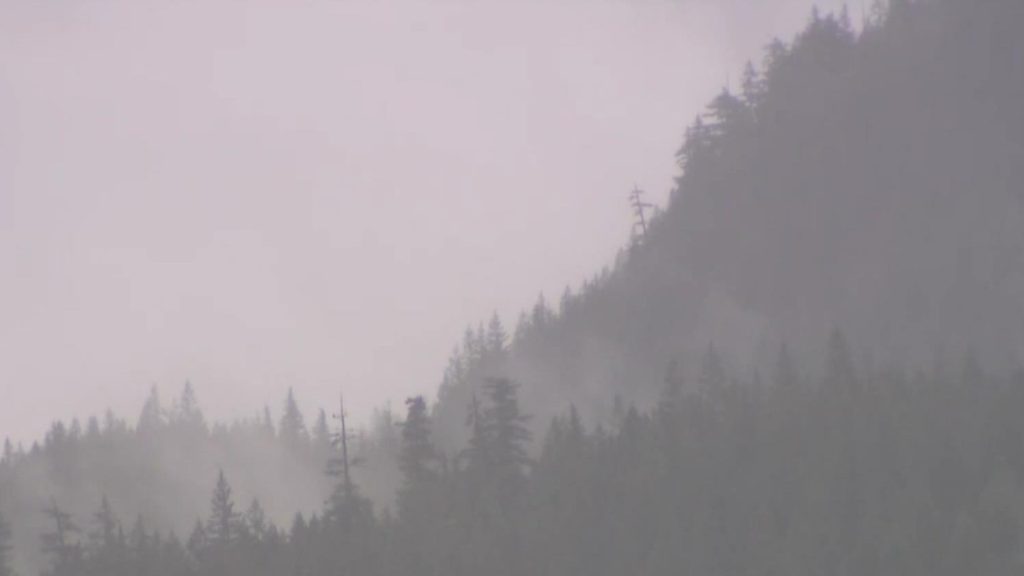 Search underway for three missing climbers near Squamish