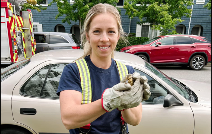 A Surrey firefighter holds a duckling after it was rescued from a storm drain the morning of June 11, 2024.