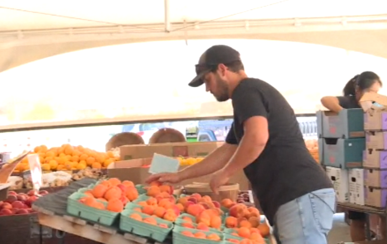 Jason Lepp of Lepp Farm Market works at his family's fruit stand. The business is among those to have lost stone fruit crops in the 2024 deep freeze.