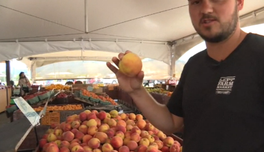 Jason Lepp of Lepp Farm Market works at his family's fruit stand. The business is among those to have lost stone fruit crops in the 2024 deep freeze.