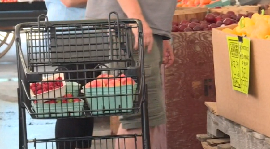 Peaches and other fruit in the shopping cart of a customer at Lepp Farm Market in Abbotsford