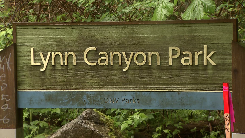 17-year-old falls off cliff, dies at North Vancouver's Lynn Canyon Park