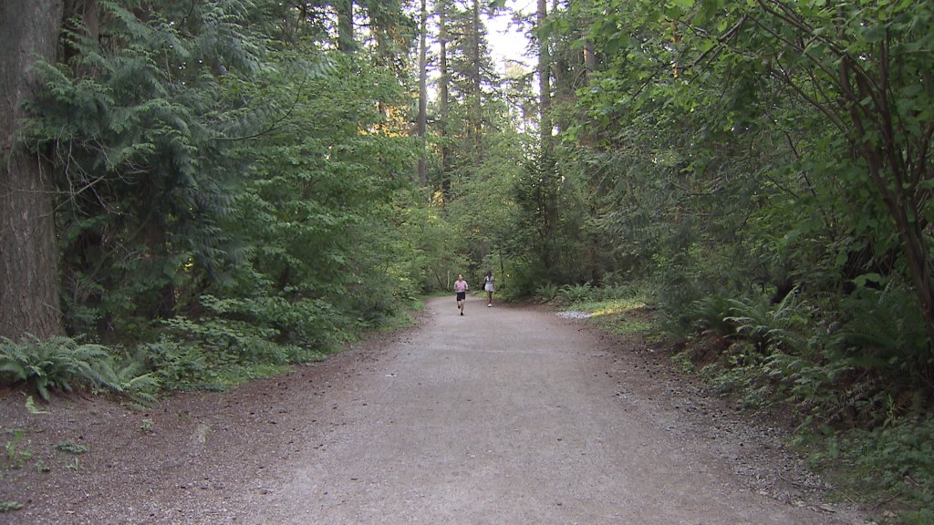 Central Park in Burnaby