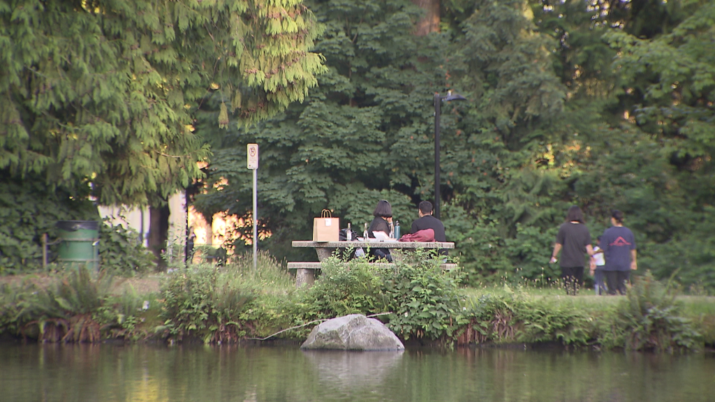 Burnaby sets fire rating for public parks to 'high'