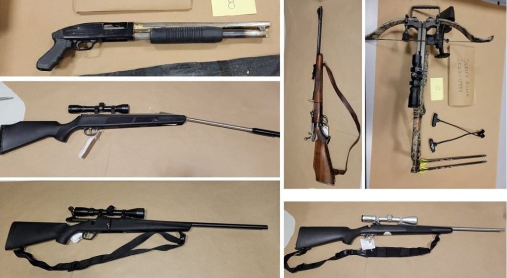 Images of seized weapons