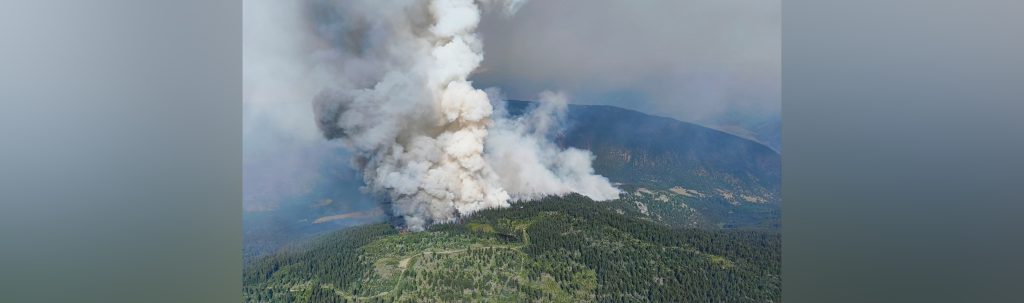 2 wildfires near Kamloops grew over weekend: BCWS
