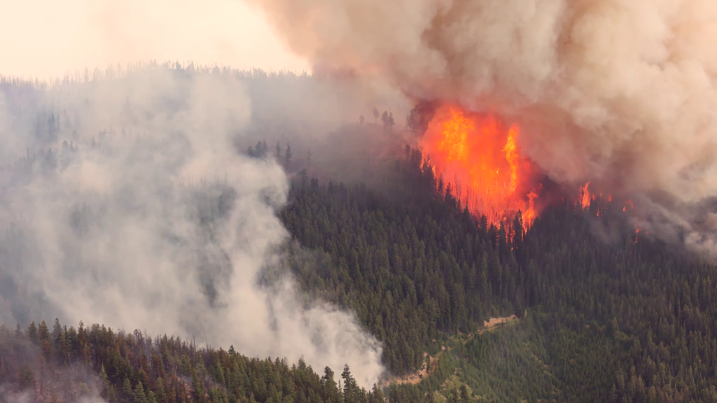 A view of the Shetland Creek wildfire in the B.C. Interior