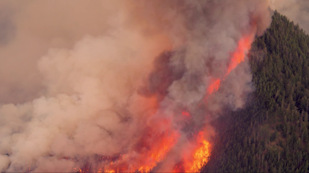 A view of the Shetland Creek wildfire in the B.C. Interior