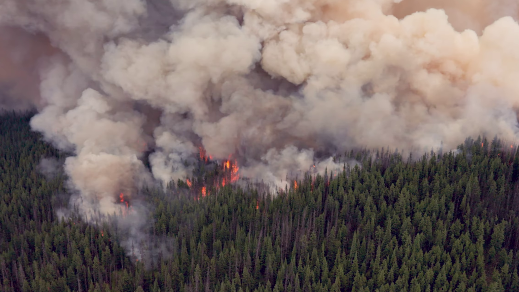 'Welcome reprieve': B.C. wildfire crews hopeful cooler, rainy weather will continue to help