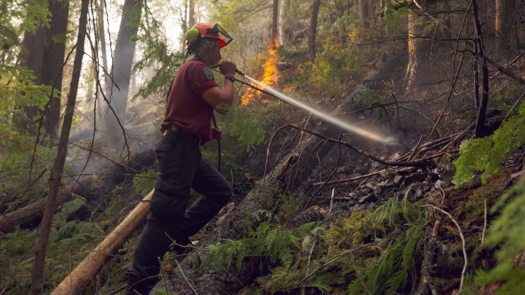 A view of the Slocan Lake Wildfire Complex from a BC Wildfire Service video posted on Sunday July 28, 2024.