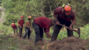 BC Wildfire Service expecting warmer-than-normal spring temperatures