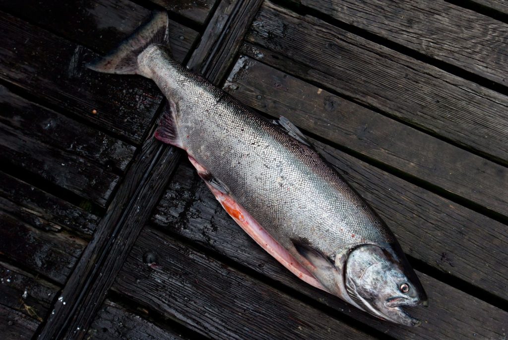 Some Alaskan salmon fisheries lose Ocean Wise label amid concern for B.C.-bound stock